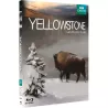 YELLOWSTONE BR