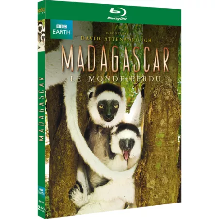 MADAGASCAR BR