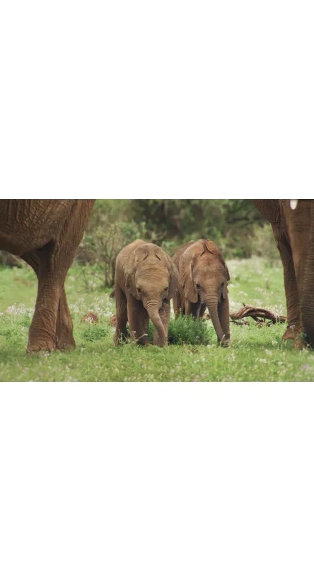 LA TERRE VUE DE L'ESPACE BLU-RAY