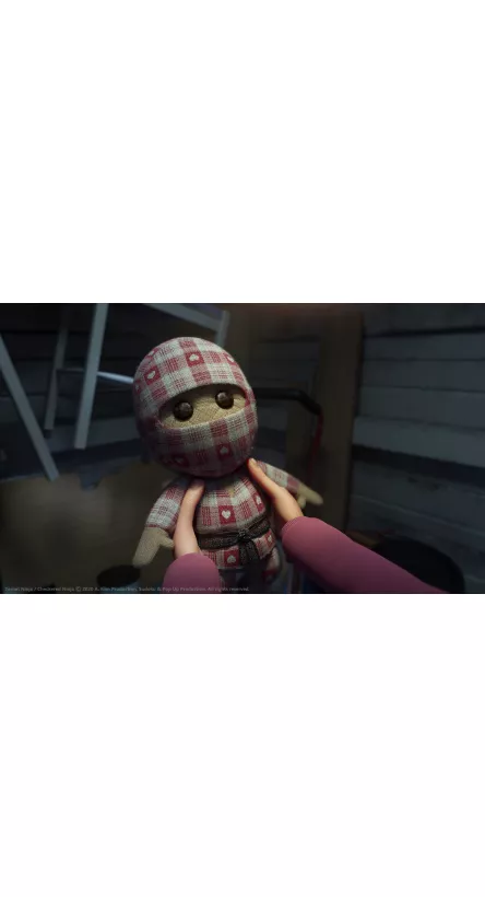 MON NINJA ET MOI 2-Photo 1