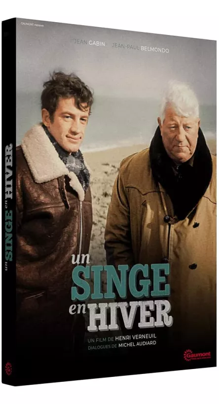 UN SINGE EN HIVER (1 DVD)
