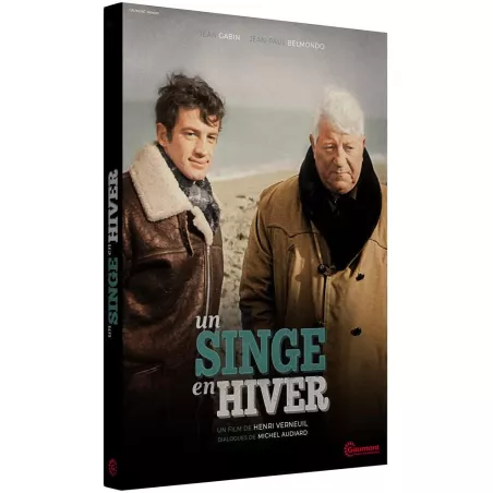 UN SINGE EN HIVER (1 DVD)