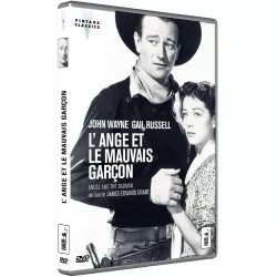 3994 - L'ANGE ET LE MAUVAIS GARCON (1DVD)